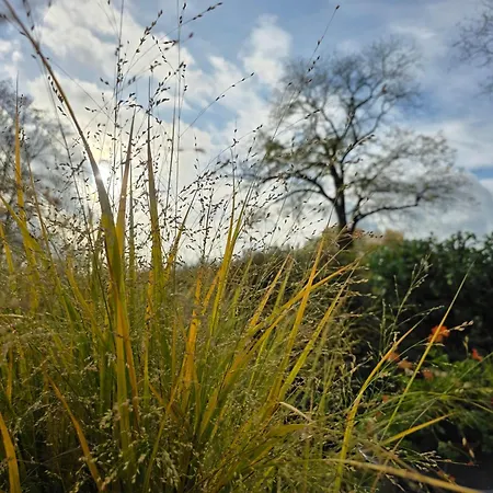 شقة Haltepunkt, 25667 *